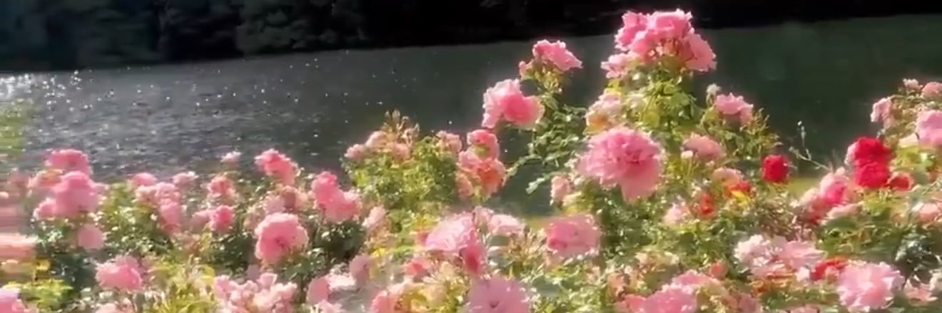 فـاطمـه banner