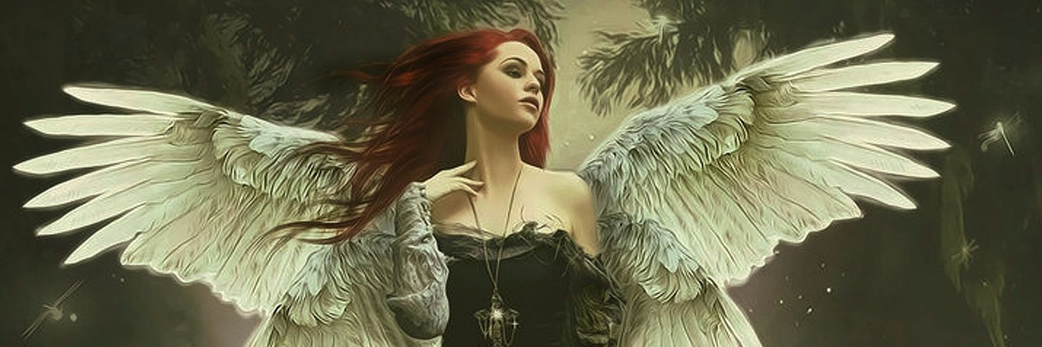 ToWildIrishRose banner