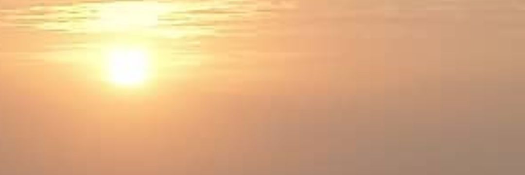 NavaMa's profile banner image