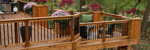 RealCedar Profile Banner
