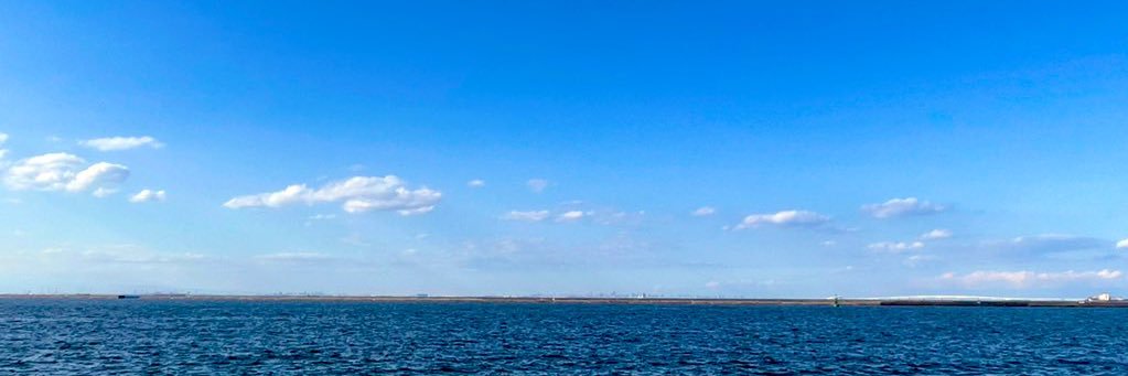 もか🐈‍⬛🐾 banner