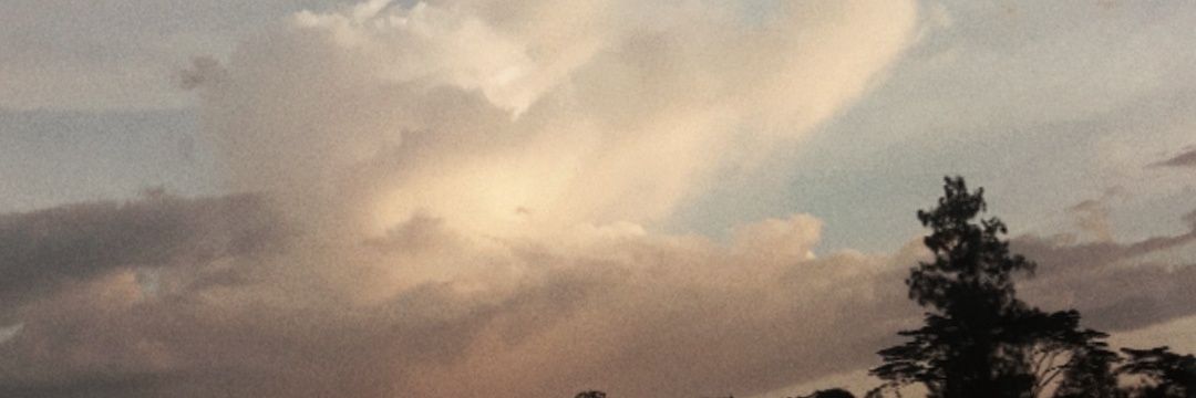 laras banner