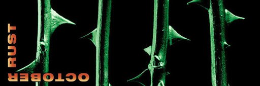 🌊Texas T🌊🪬🍀👽🛸🌎 banner