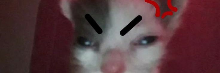 𝗇𝖺. ナ banner