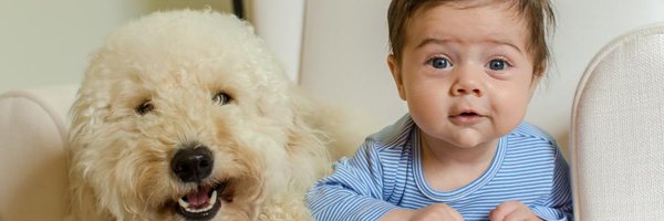 JordanYoungTN Profile Banner