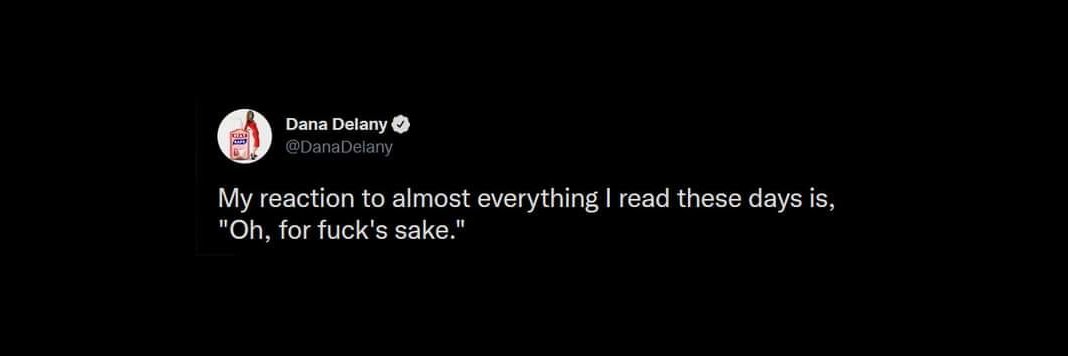 Lady D's Legs banner