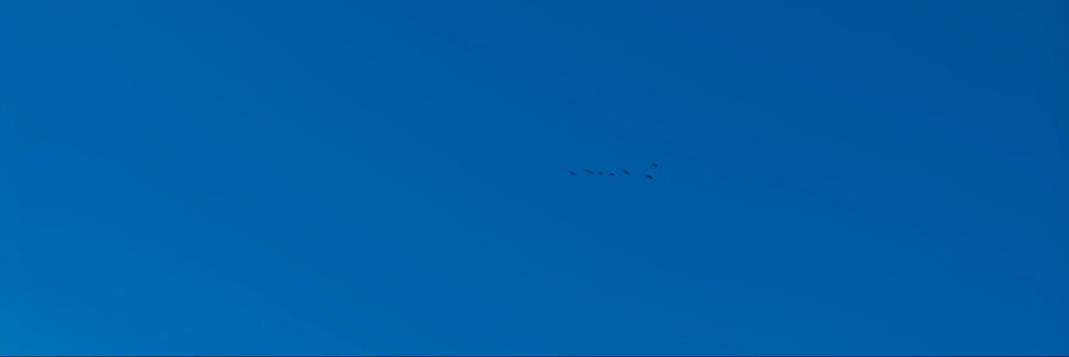 SolomonBcyb97's profile banner image