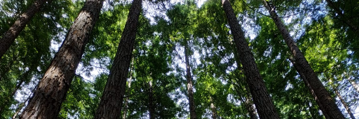 raquelblanco123's profile banner image