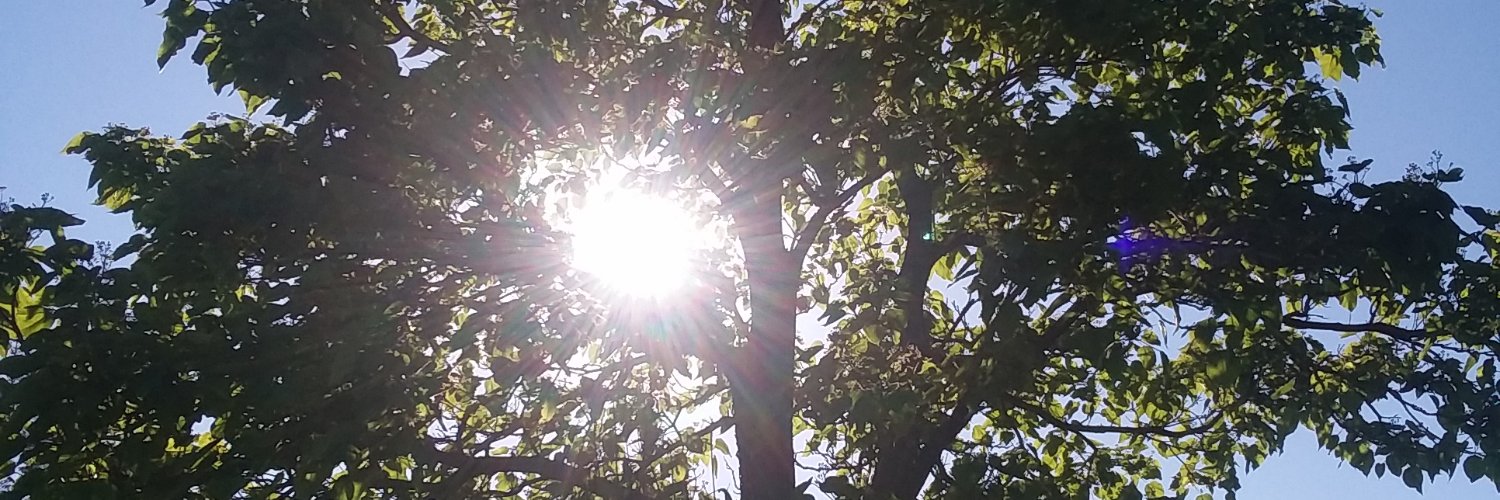 ATasteOfTruth2's profile banner image