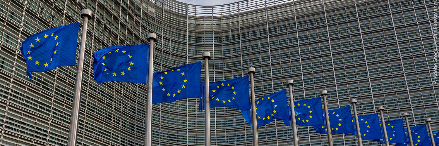 EconPol Europe's banner