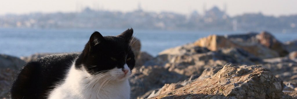 DuncanChesley's profile banner image