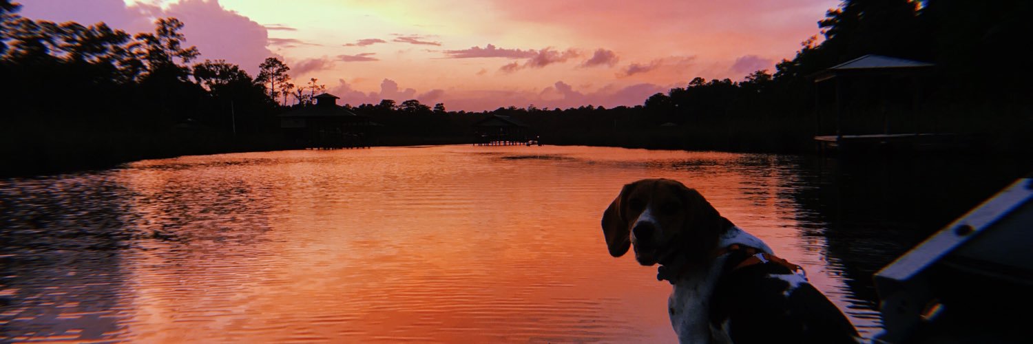 emily_ignots's profile banner image