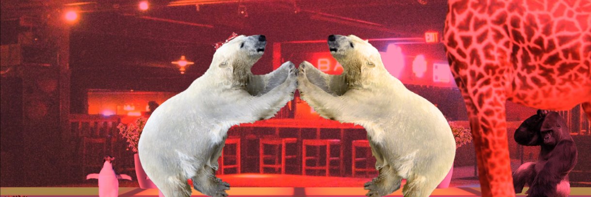 discobeargame's profile banner image