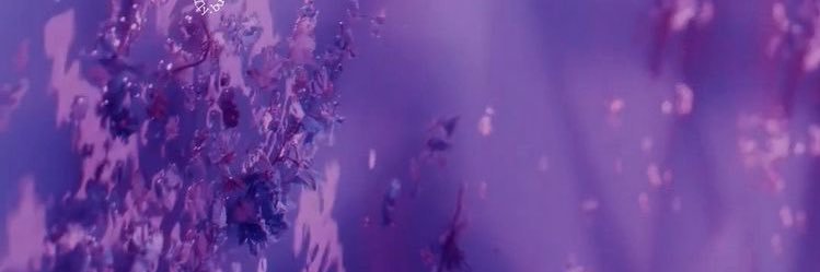 ash | seeing harry x2 banner