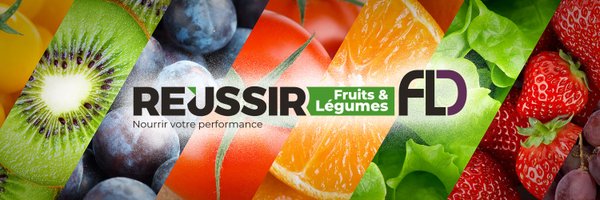 ReussirFL Profile Banner