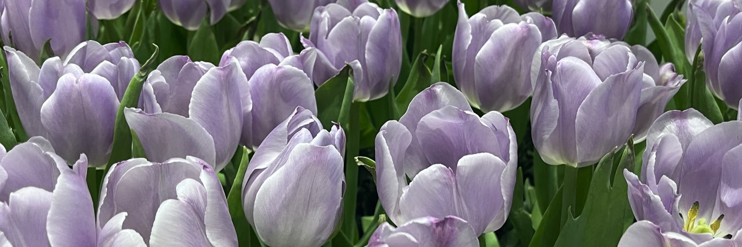 TarnTarn_Ch's profile banner image