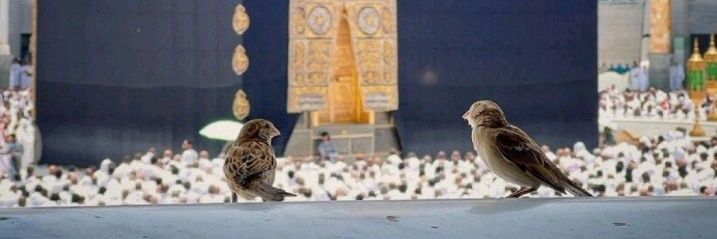 Engrbasharat2's profile banner image