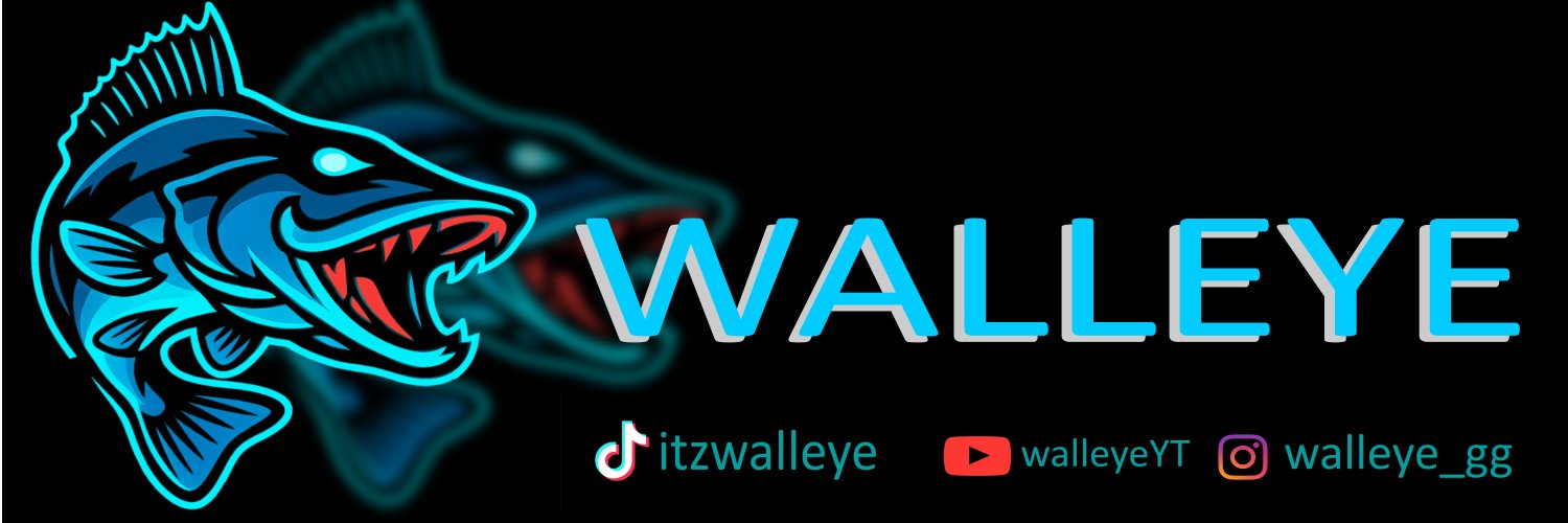 walleye__'s profile banner image