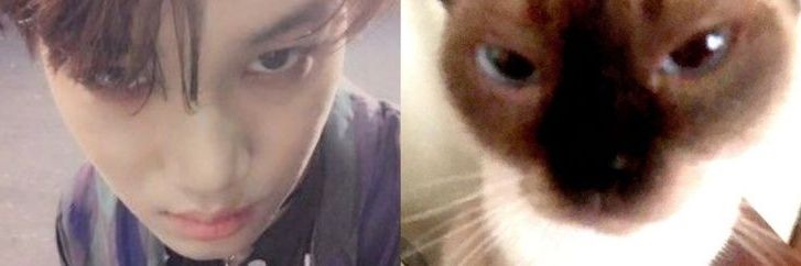 Berry #sevici banner