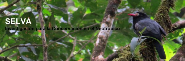 selvaorgco Profile Banner