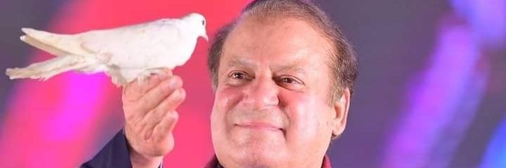 ShafiqKamran2's profile banner image