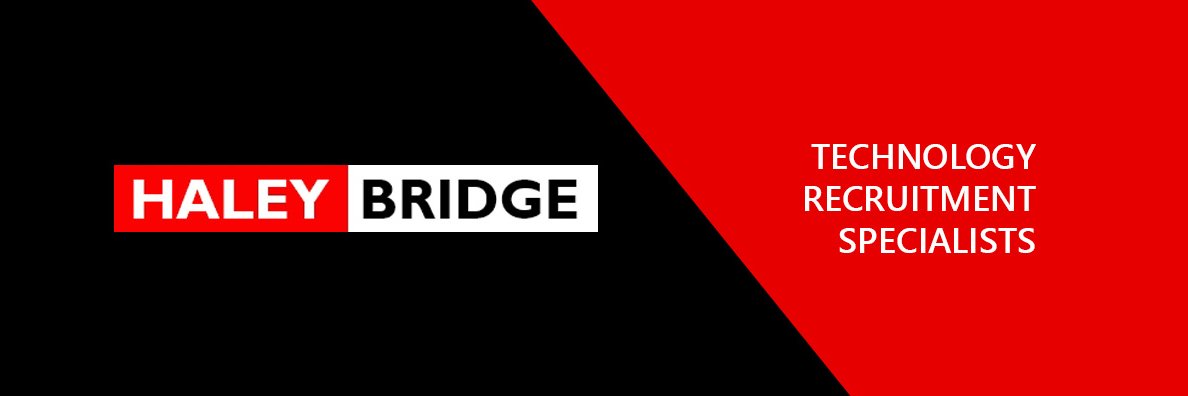 Haley Bridge - Technology Recruitment banner