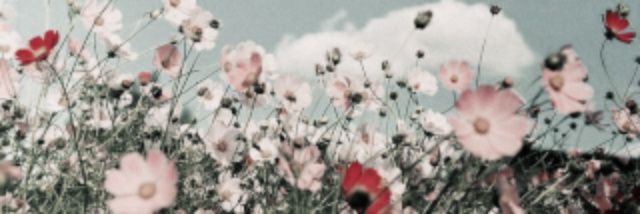 clavikah's profile banner image