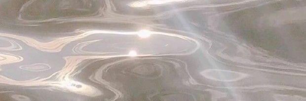 AvecesVictoria's profile banner image