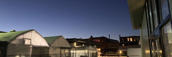 NILSBROWN Profile Banner