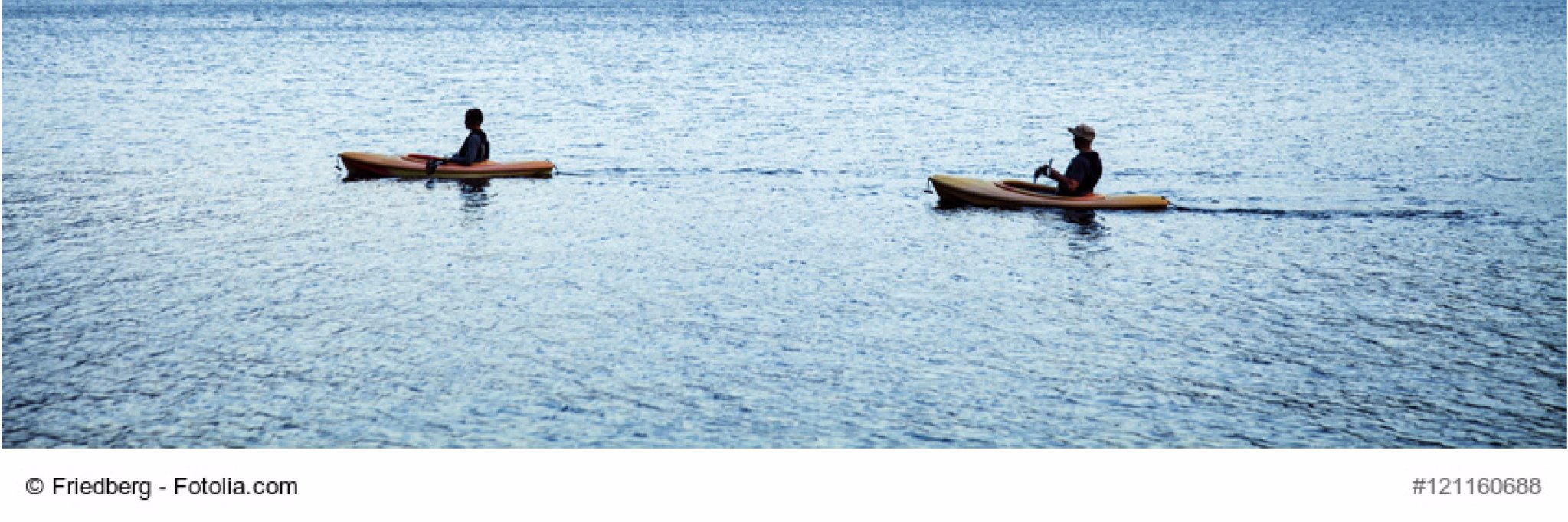 mystudychoice.de banner