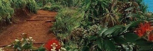 duascloset's profile banner image