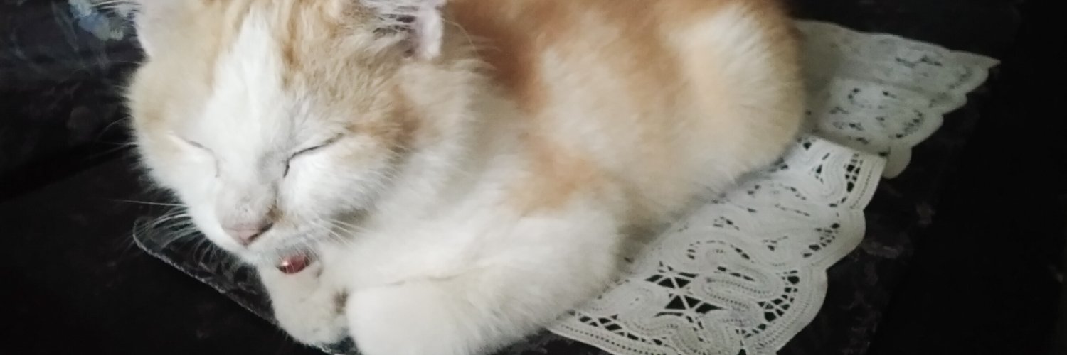 metahoho's profile banner image