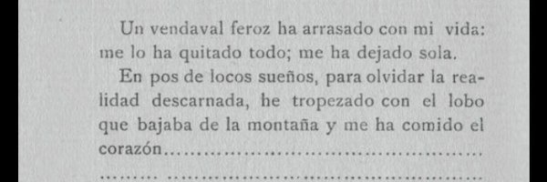 _Adonica Profile Banner