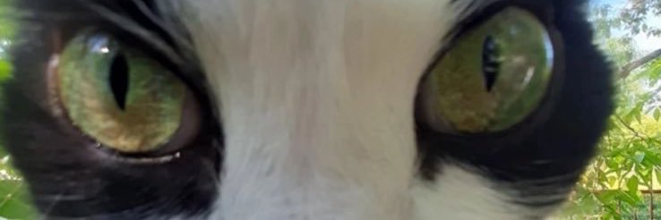 mc_borow_gb's profile banner image