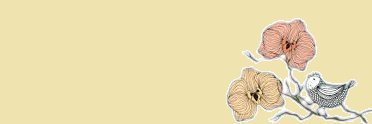 иαту🦄 banner