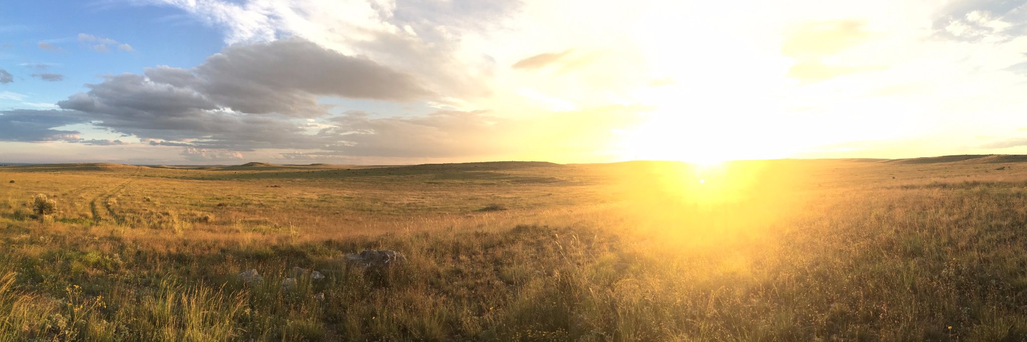 riograndejv's profile banner image