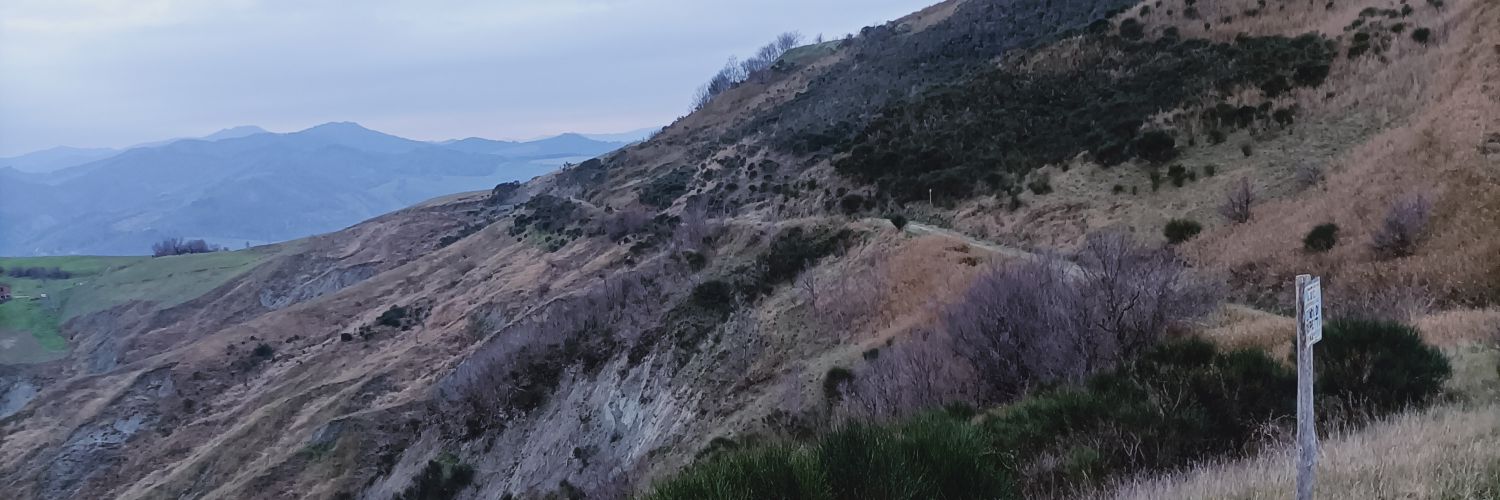_indipercui's profile banner image