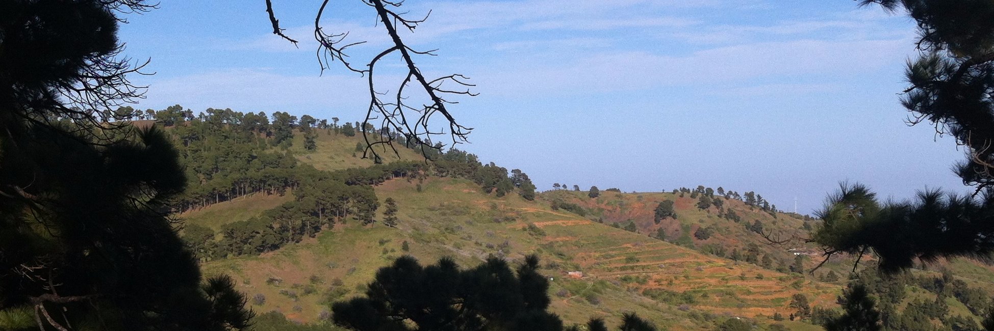 furst_barbara's profile banner image
