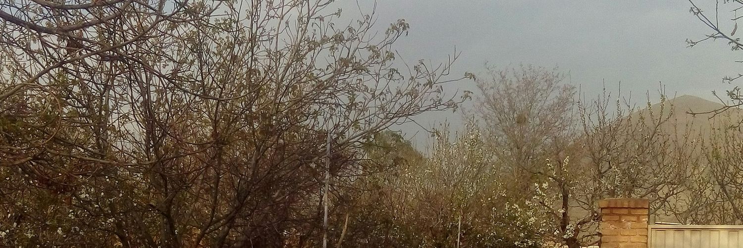 Shahin_ebi's profile banner image