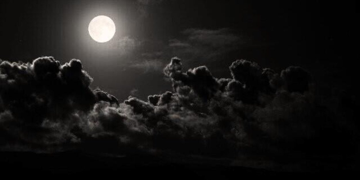 الــــود ♡ banner