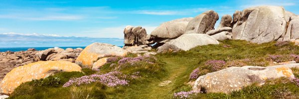 SeillerThomas Profile Banner