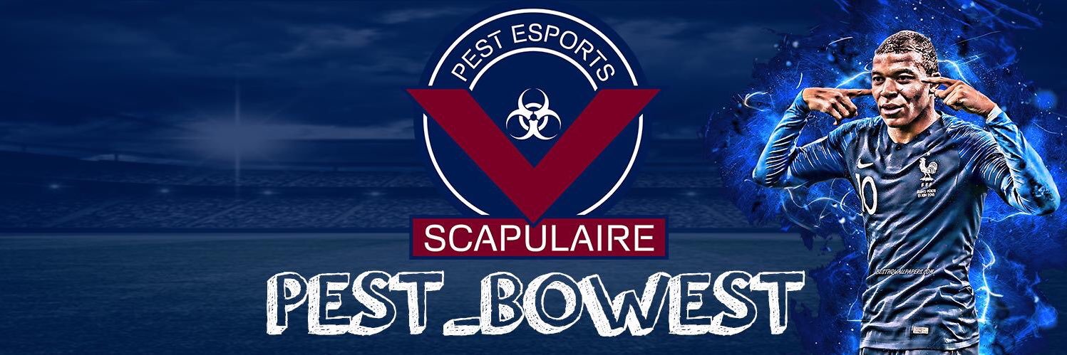 PEST Bowest banner