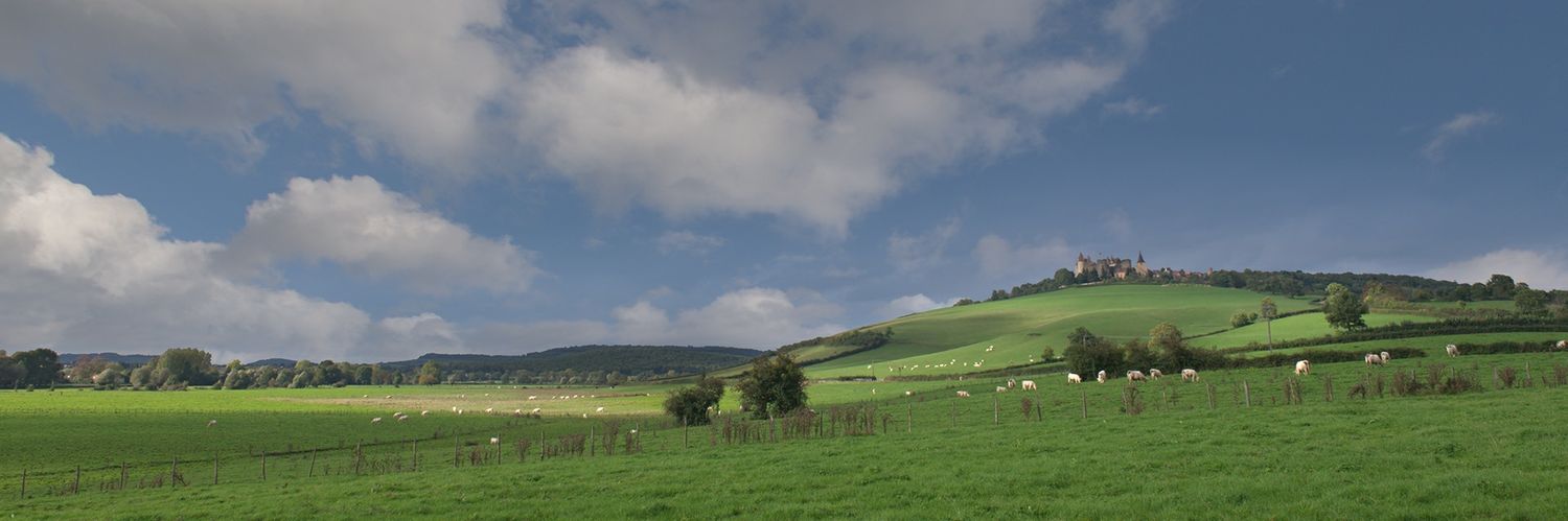 jagaooi's profile banner image