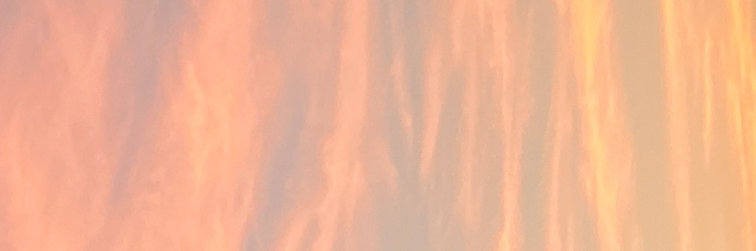 alyson_lopez's profile banner image