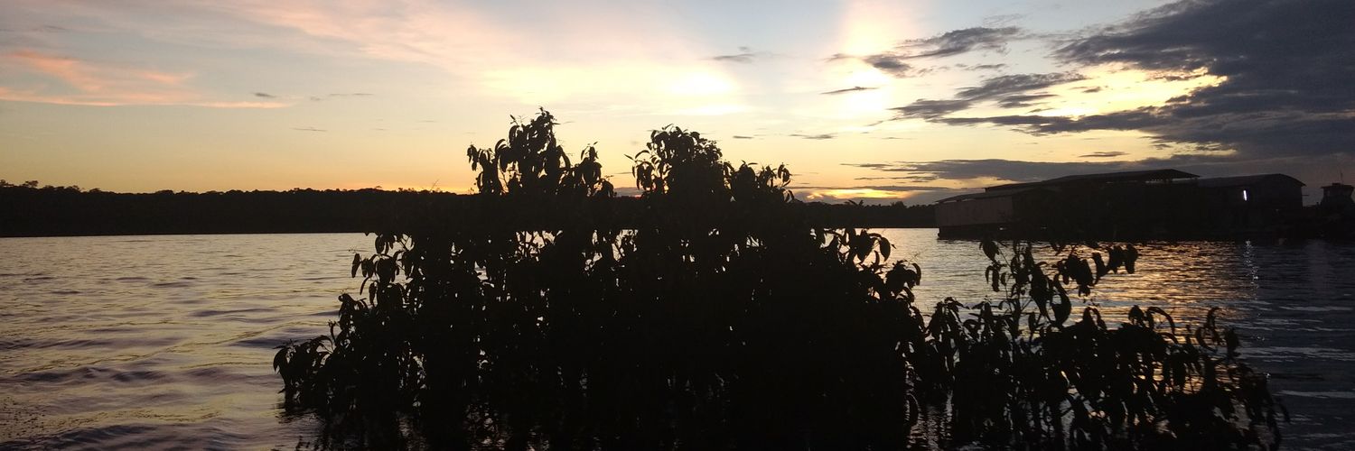 andreamster's profile banner image