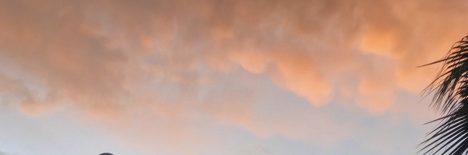 manuelcamposf's profile banner image