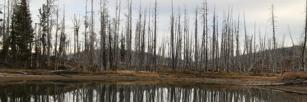 BornAndRaisedOutdoor banner