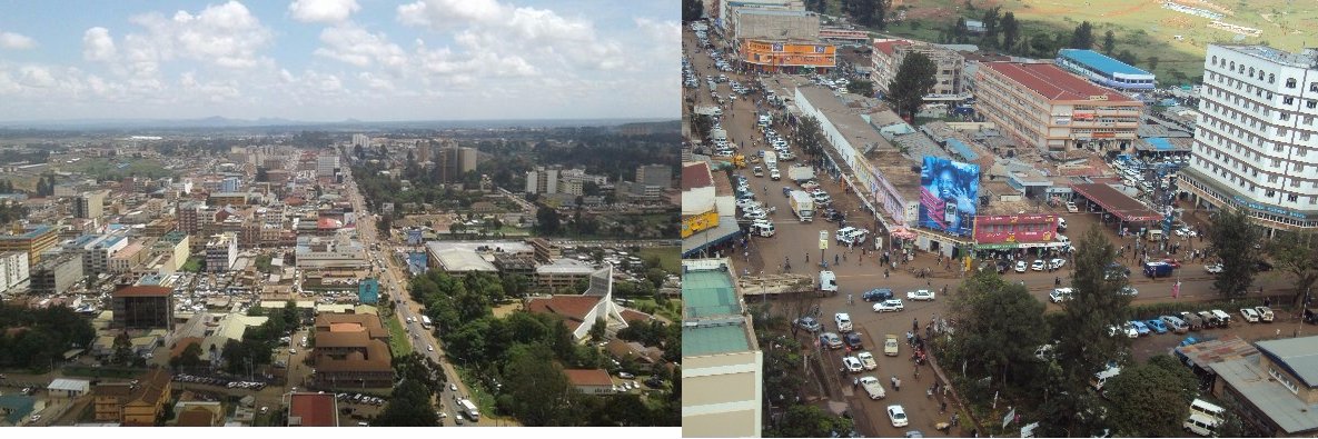 Dr. HillaRuto (PhD) banner