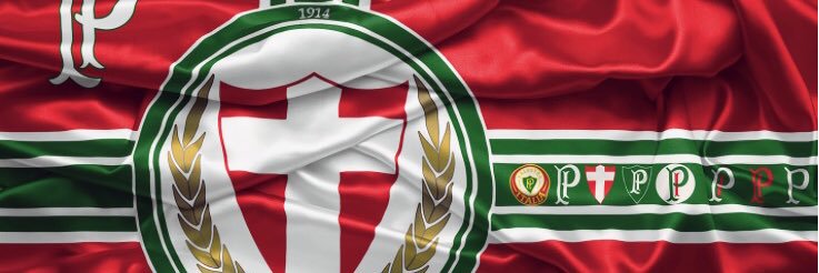 RenanSimonelli's profile banner image