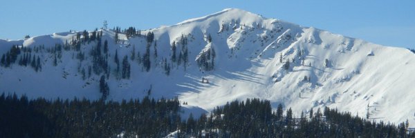 david_brayford Profile Banner